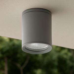 Faretto da tetto per esterno ip44 cilindro metallo grigio scuro 220v gu10