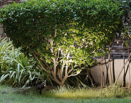 Faretto nero con picchetto da terra per giardino orientabile