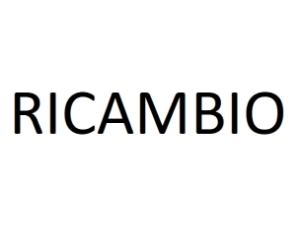 Vetro di ricambio articolo ex ordine w9ptp