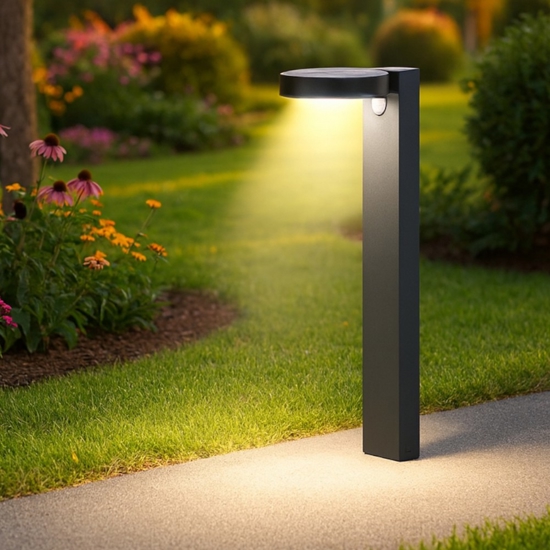 Lampione solare led 3000k con picchetto da giardino con sensore movimento