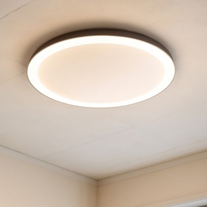 Plafoniera led 3000k 4000k dimmerabile ovale vivida lifering-o