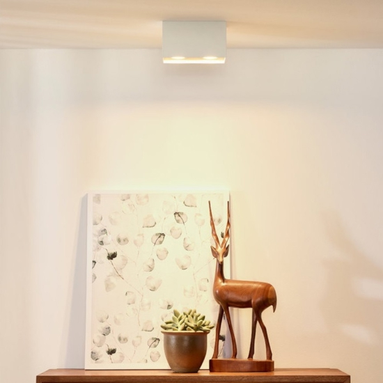 Plafoniera da soffitto rettangolare bianca 2 luci