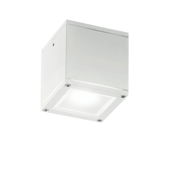 Faretto per esterni da soffitto cubo bianco