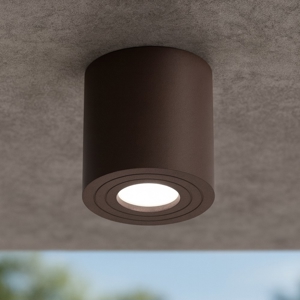 Faretto da esterno per soffitto cilindro marrone gea luce