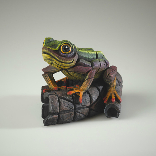 Rana africana soprammobile da tavolo verde arcobaleno