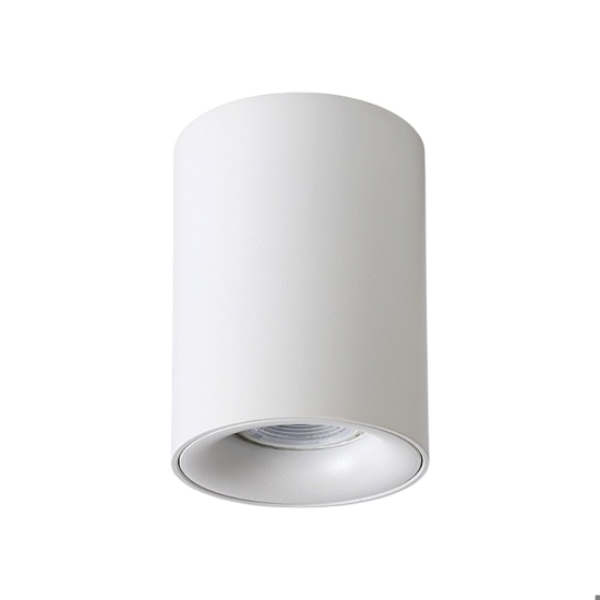 Faretto dimmerabile cilindro da soffitto bianco