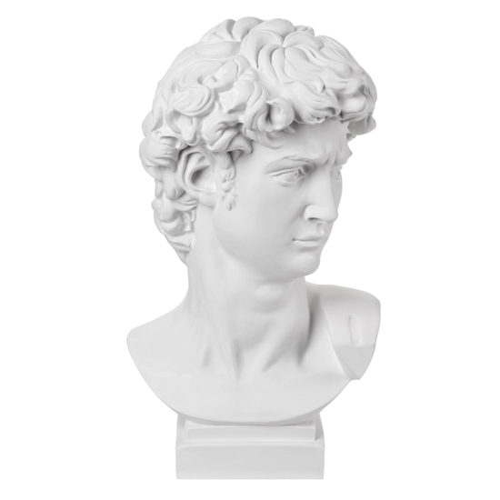 Scultura testa di david bianco h22 
