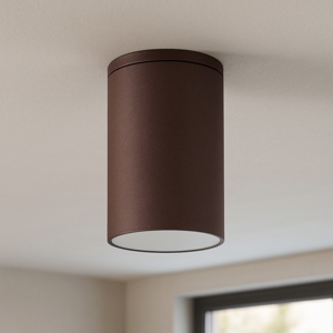 Faretto per esterno da soffitto cilindro marrone corten