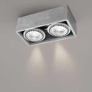 Plafoniera per cucina con 2 luci portafaretti