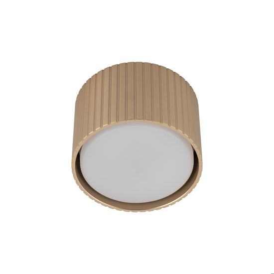 Faretto lampada da soffitto cilindro rigato champagne