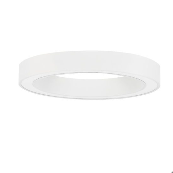 Plafoniera moderna cerchio anello bianco 60 cm led 48w 2700k a 4000k con telecomando app