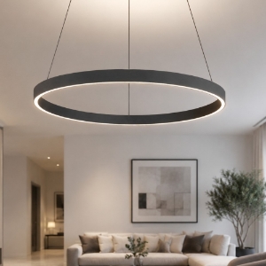 Lampadario antracite anello 80 cm led 76w cct 3000k 4000k per soggiorno moderno