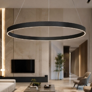 Lampadario moderno anello 120 cm antracite led 116w cct 3000k 4000k per grandi ambienti