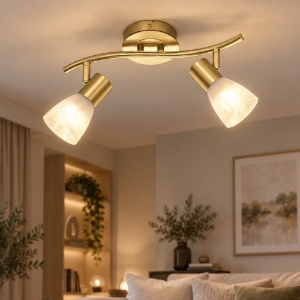 Plafoniera con 2 faretti orientabili ottone satinato