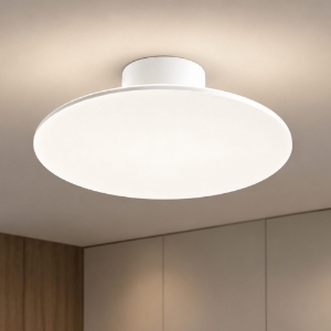 Plafoniera led 15w cct 3000k 6000k dimmerabile per cucina moderna disco bianco dimmerabile
