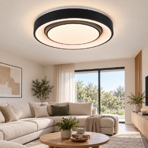 Plafoniera led 20w cct 3000k 6000k con controllo smart nero opaco