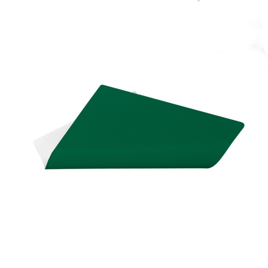 Applique da parete moderna verde bosco led 28w cct 3000k 4000k 53cm