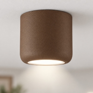 Faretto da soffitto design moderno ruggine led 10w cct 3000k 4000k  ip44