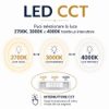 Fabas luce quirk lampadario led 56w cct 2700k 4000k dimmerabile anello moderno a sospensione ottone satinato