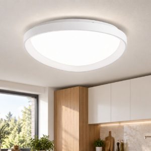 Fabas luce quirk plafoniera led 38w cct 2700k 4000k dimmerabile moderna ovale bianca