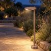 Lampione led 10w 3000k ip65 moderno per esterno giardino rotonda oro rosato