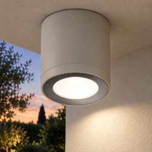 Faretto led 8,5w 3000k ip65 moderno da esterno soffitto cilindrico tortora