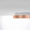 Plafoniera plettro moderna pesca led 30w cct 3000k 4000k 35cm