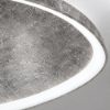 Plafoniera moderna plettro foglia argento led 36w cct 3000k 4000k
