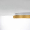 Plafoniera led 48w cct 3000k 4000k plettro moderna oro opaco