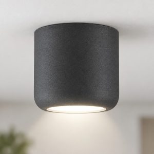 Faretto moderno da soffitto antracite tondo led 10w cct 3000k 4000k ip44
