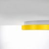 Plafoniera led 60w cct 3000k 4000k plettro moderna giallo girasole