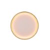 Plafoniera moderna tonda ottone opaco led cct 2300k 4000k dimmerabile