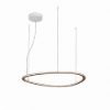 Lampadario led 60w cct 3000k 6000k dimmerabile con telecomando a sospensione ruggine