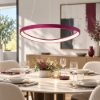 Lampadario led 50w cct 3000k 4000k a sospensione per sala da pranzo magenta