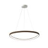 Lampadario led 60w cct 3000k 4000k moderno a sospensione plettro ruggine