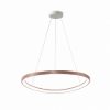 Lampadario led 60w cct 3000k 4000k moderno a sospensione plettro oro rosato