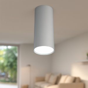 Faretto da soffitto cilindro grigio per cucina