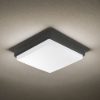 Plafoniera antracite per esterno led 12w 18w 23w cct 3000k 6000k ip65