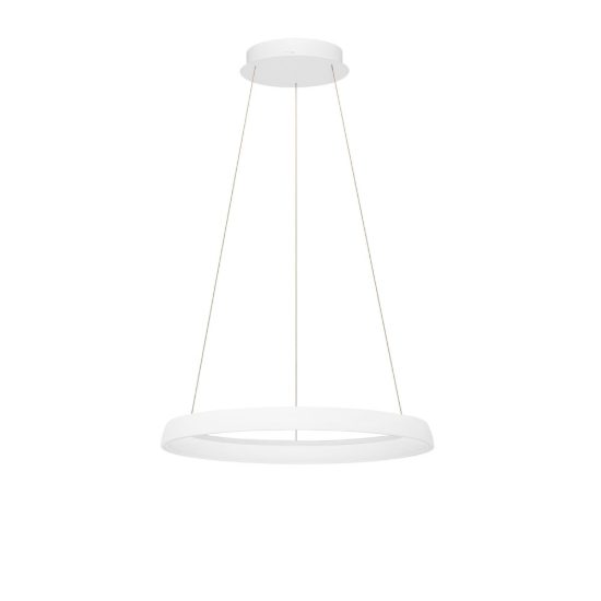 Lampadario led 61w cct 2700k 4000k dimmerabile anello moderno a sospensione bianco sabbiato per soggiorno