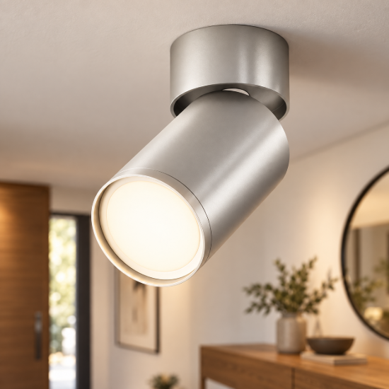 Maytoni focus s faretto da soffitto cilindrico argento opaco orientabile