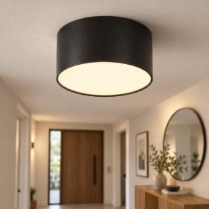 Maytoni zon plafoniera per ingresso nera led 12w 3000k 12cm