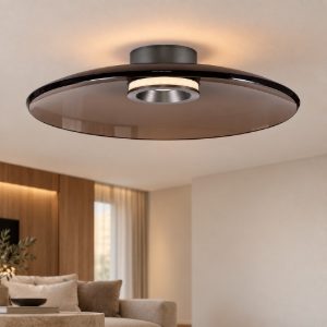 Plafoniera led 33w 3000k dimmerabile per camera da letto marrone scuro e nichel foggy