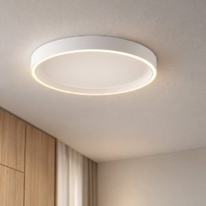Plafoniera led 38w cct 2700k 3000k dimmerabile per cucina moderna rotonda bianca
