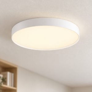 Plafoniera led 48w cct 2700k 3000k dimmerabile per cucina moderna rotonda bianca