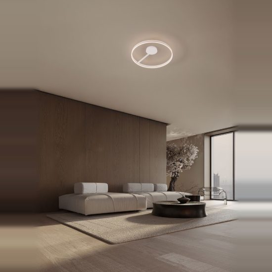 Plafoniera led 48w cct 2700k 4000k dimmerabile moderna rotonda bianca per soggiorno