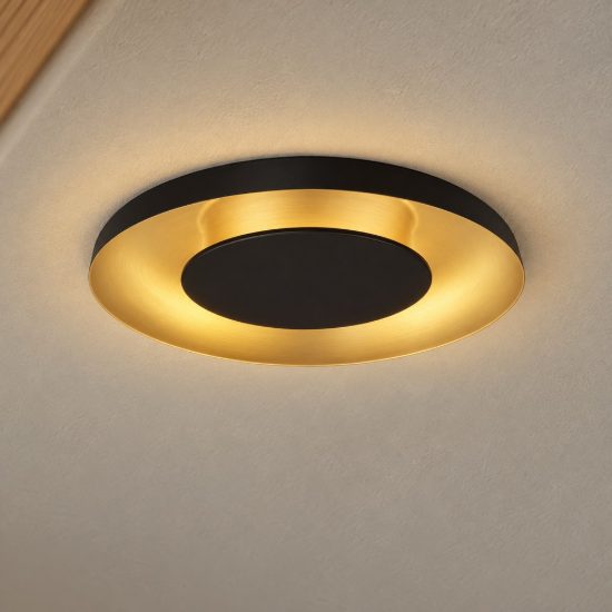 Plafoniera led 24w cct 2700k 4000k dimmerabile per ingresso nero e oro