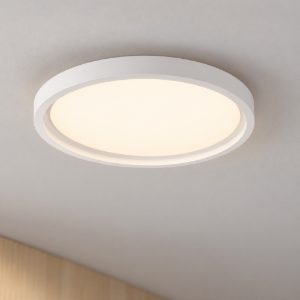 Plafoniera led rgb cct 2700k 5000k 30w 39cm dimmerabile con telecomando moderna rotonda bianca