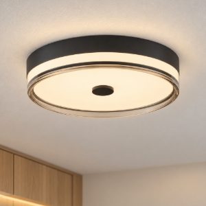 Plafoniera led 22w 3000k 40cm dimmerabile moderna rotonda nero e fume