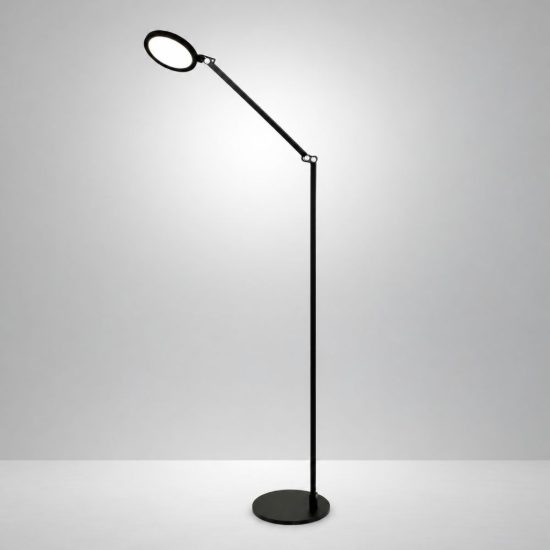 Fabas regina lampada da terra per soggiorno nera led 9w cct 3000k 4000k 5000k 6000k