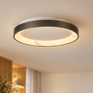 Plafoniera led 28w cct 2700k 5000k dimmerabile con telecomando tonda grigio scuro